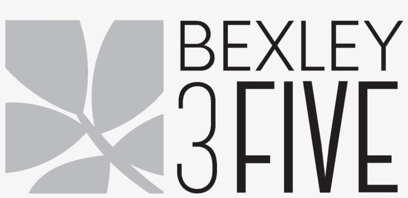 Austin Property Logo - Xls, transparent png download