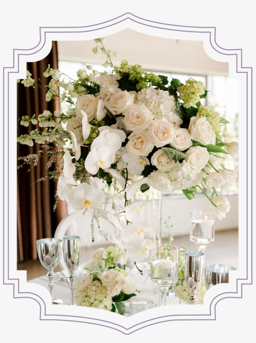 Contact - Garden Roses, transparent png download