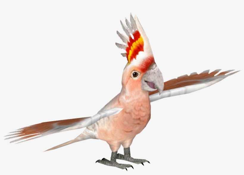Cockatoomajormichels Tamara Henson, transparent png download