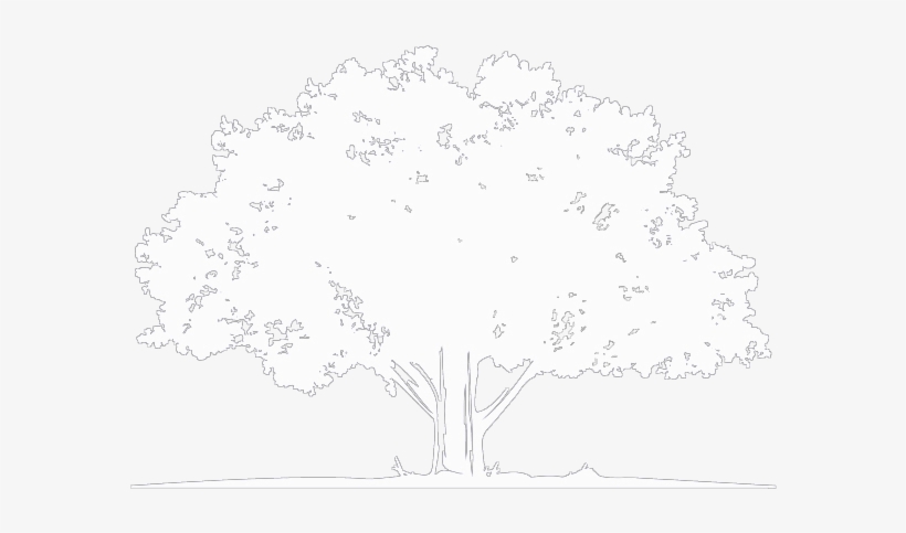 Dark And Moody Skies Fell Upon This Beautifully Intimate - Arbor Day 2018, transparent png download