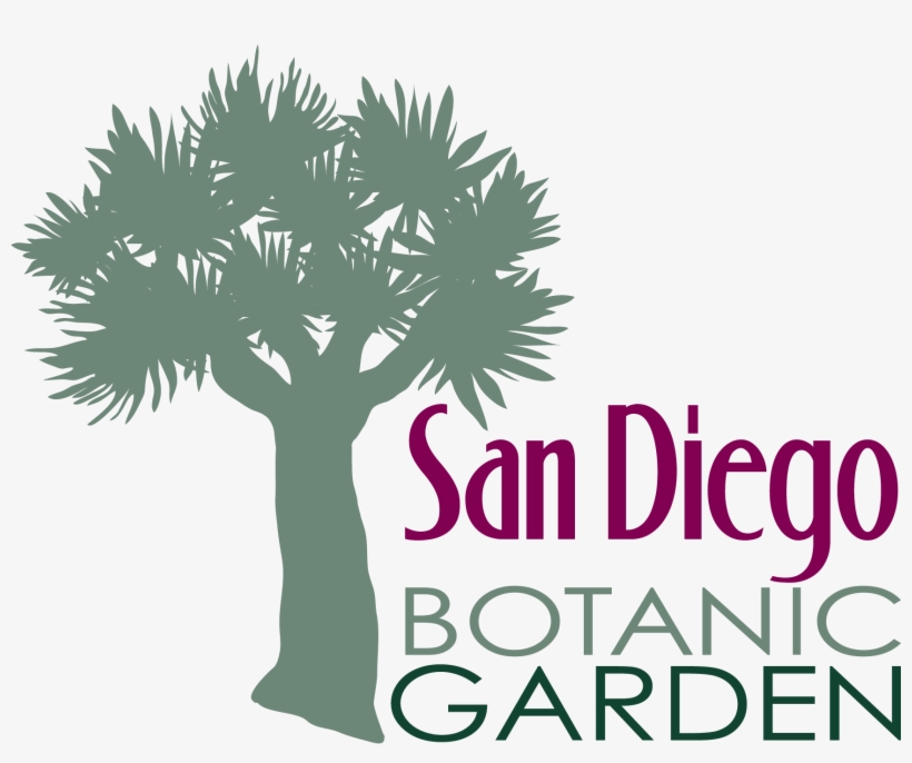 Stacked Logo In Black - San Diego Botanic Garden Logo, transparent png download