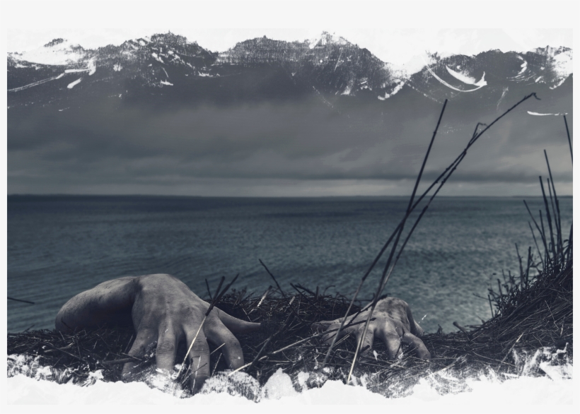 News Backgroud - Ghost Hand, transparent png download