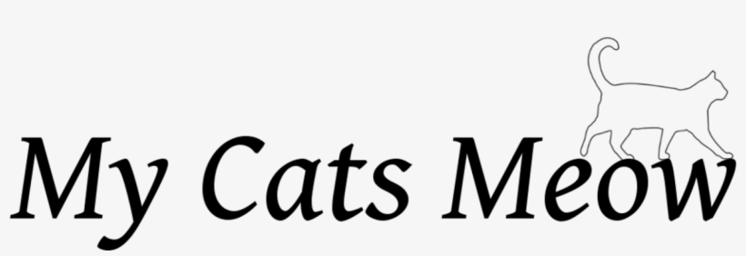 Home - Products - Survive Font, transparent png download