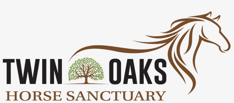 Logo - Illustration, transparent png download