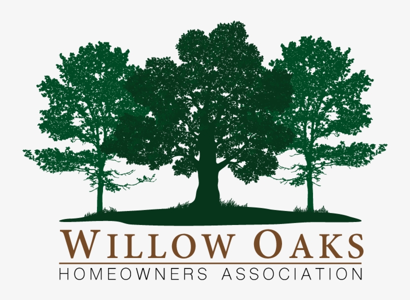 About Us - Ahornbaum Umriss, transparent png download