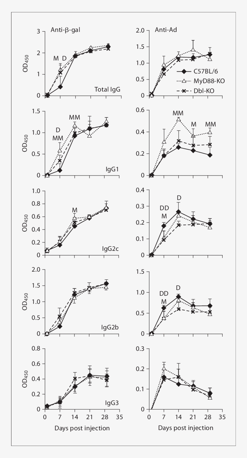 Both Myd And Trif Mediate The Ad - Diagram, transparent png download