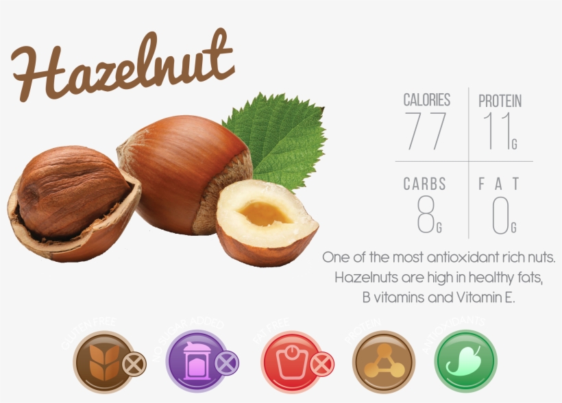 Body Needs And Everything Your Tastebuds Want - Hazelnut, transparent png download