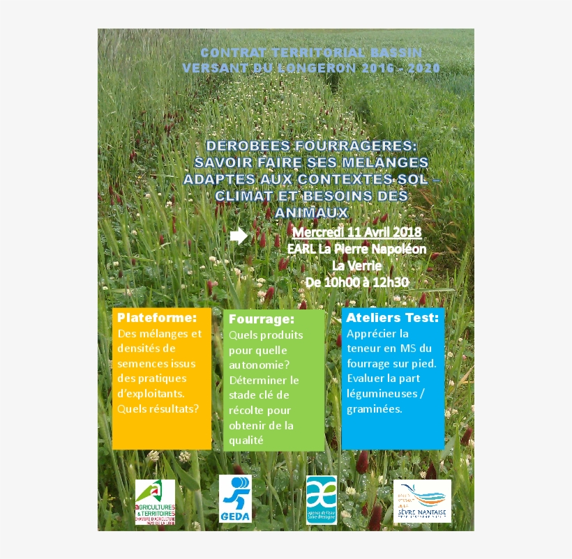 20180411 Ca85 Animation Dérobées Fourragères - Grass, transparent png download