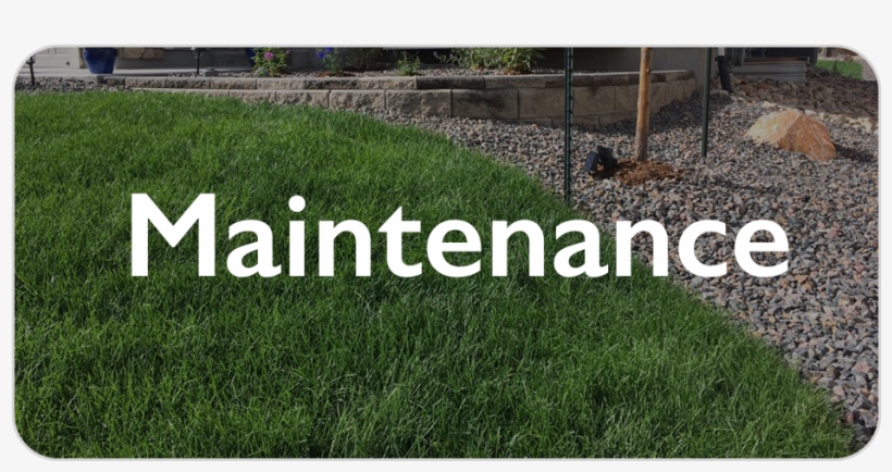 Schedule A Free Estimate - Cignal, transparent png download