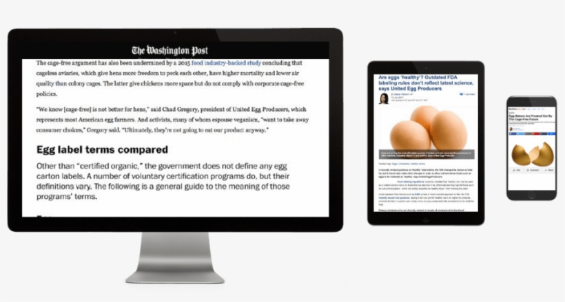 The Results - Web Page, transparent png download