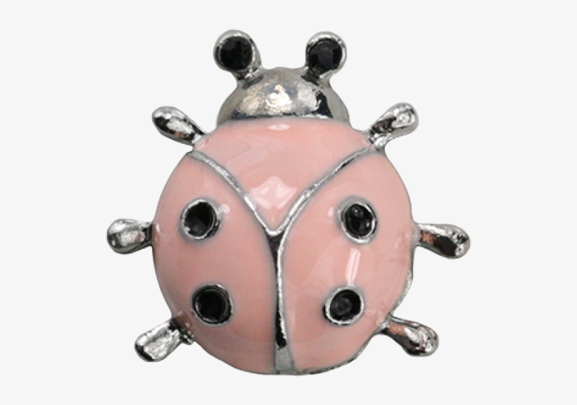 Ladybug - Weevil, transparent png download