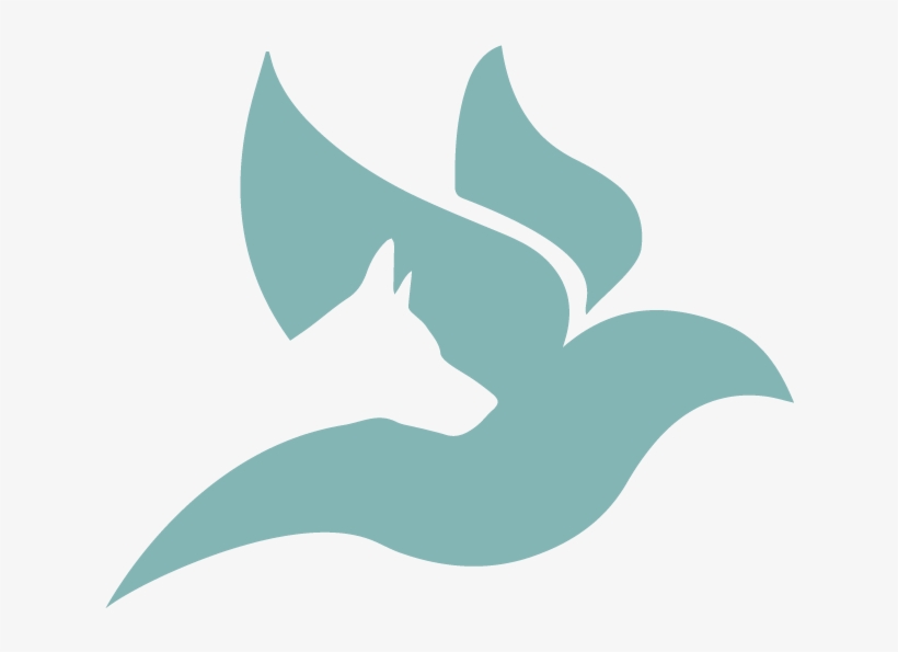 Rajia, transparent png download