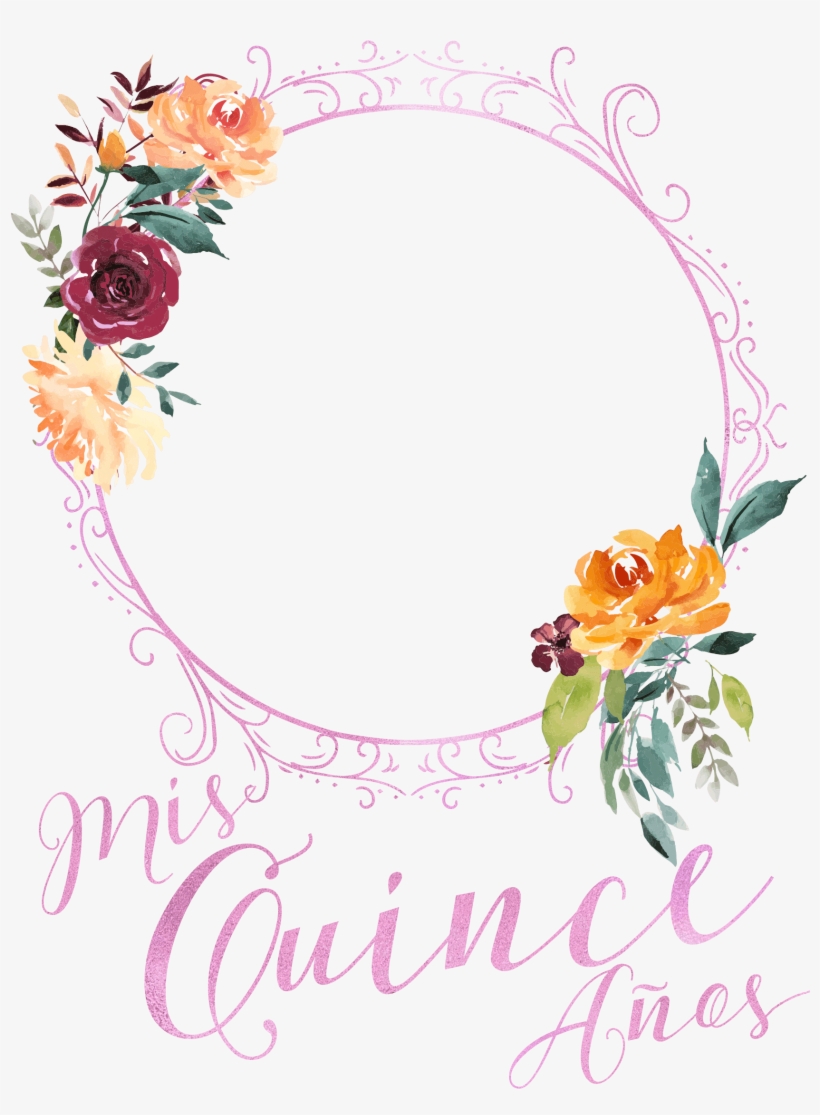 Hybrid Tea Rose, transparent png download