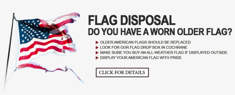 Veterinario, transparent png download