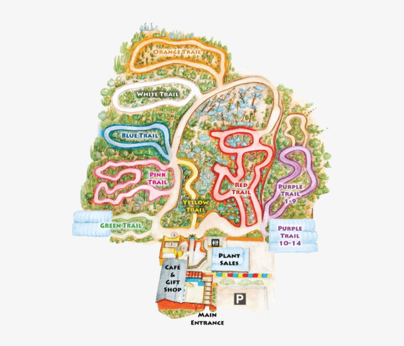 There Is Also Cactus Farmer Jim's Valley Of Hybrid - Diagram, transparent png download