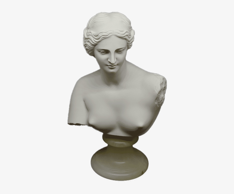 Venus Or Aphrodite Of Milos H 22 Cm Bust - Bust, transparent png download