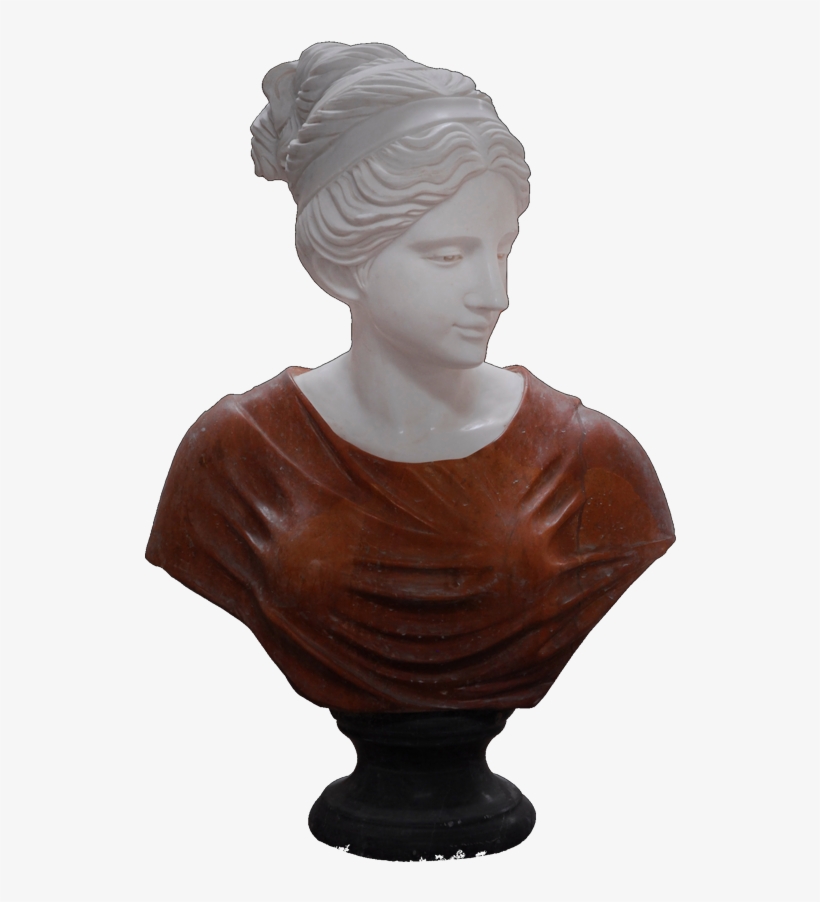 Home / Busts / Busts - Bust, transparent png download