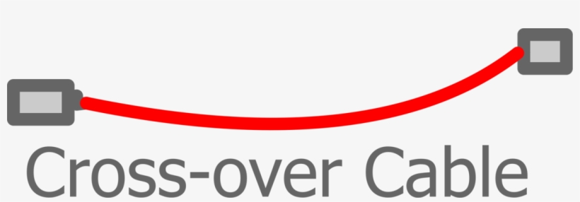 Download Similars, transparent png download
