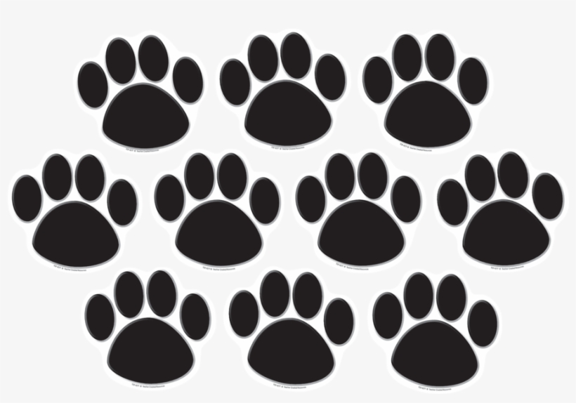 Tcr4277 Black Paw Prints Accents Image - Red Paw Prints, transparent png download