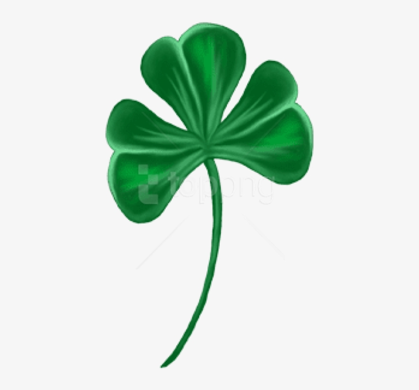 Free Png Download Shamrock Png Images Background Png - Shamrock, transparent png download