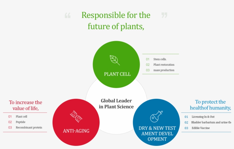 Is Responsible For The Future Of Plants From Plant - Diagram, transparent png download