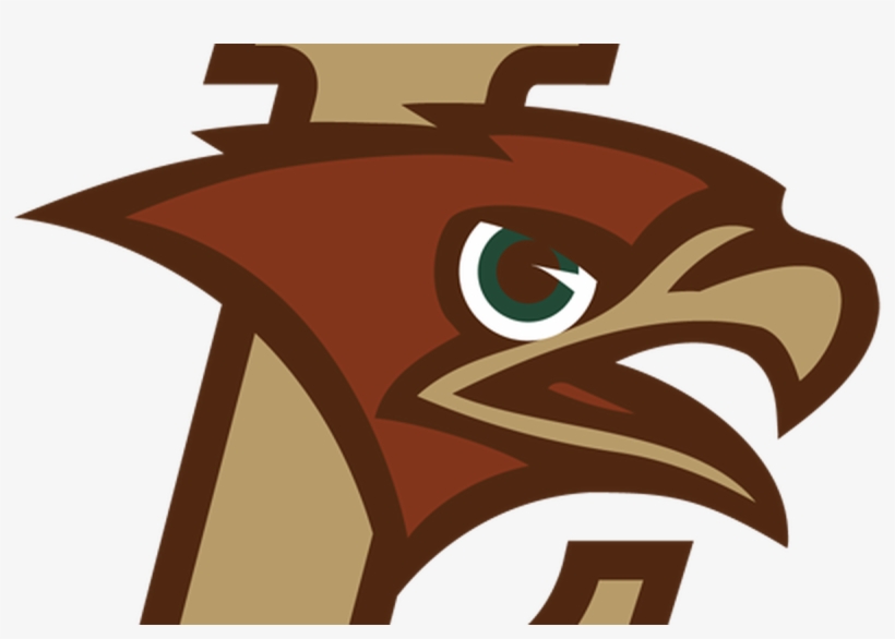 Villanova Football Vs Lehigh - Lehigh University Mountain Hawk, transparent png download