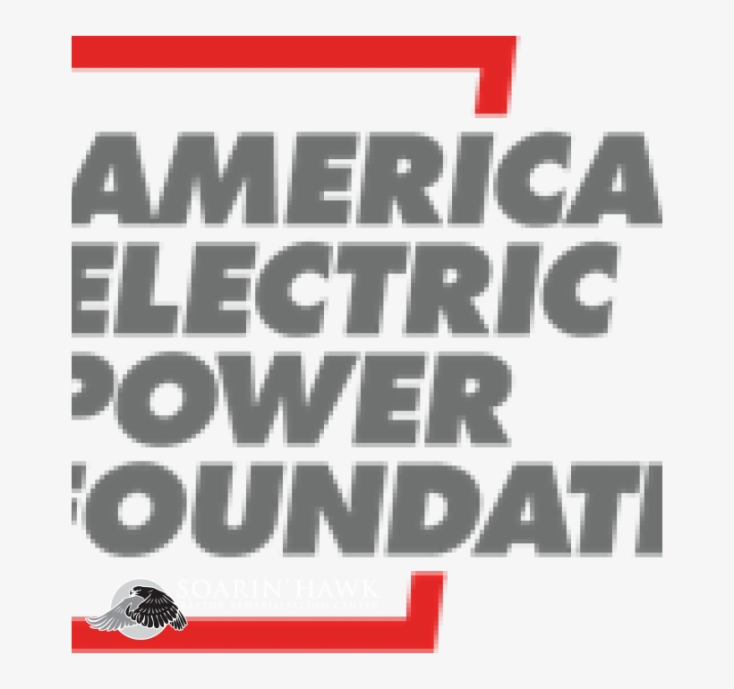 Aep Foundation Grant Allows Soarin Hawk To Take Flight - Poster, transparent png download