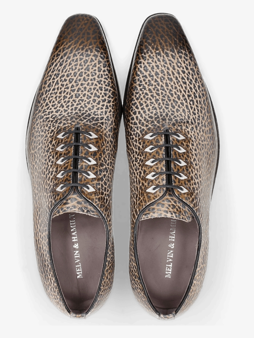 Oxford Shoes Lance 28 Brazil Satelite Binding Navy - Sneakers, transparent png download