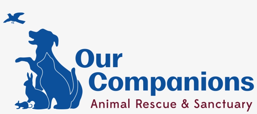 Our Companions Animal Rescue & Sanctuary - Our Companions Logo, transparent png download