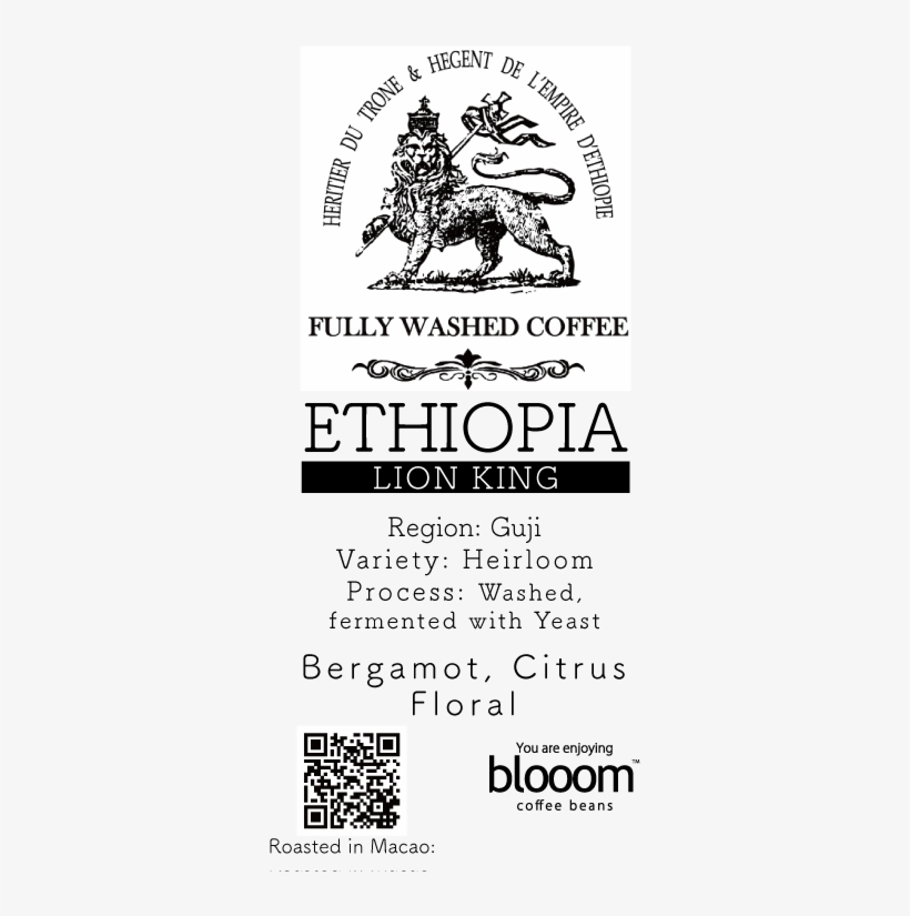 Ethiopia Lion King Washed - Bbmpins, transparent png download