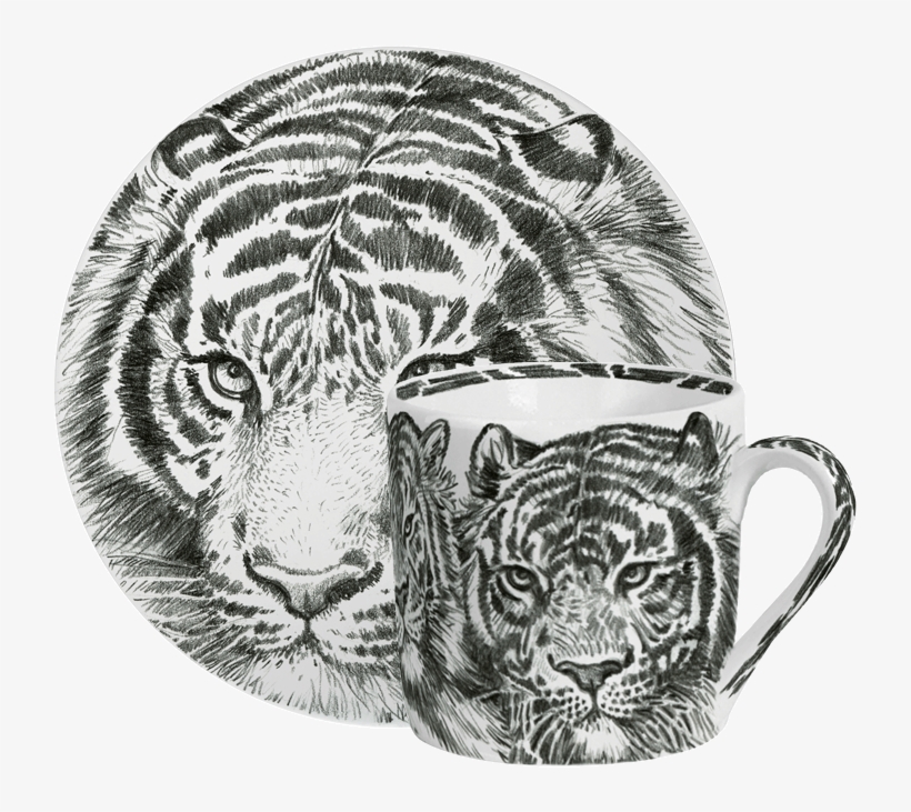 Espresso C/s - Sketch, transparent png download