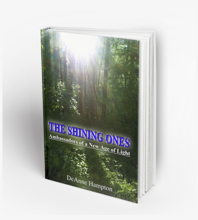 It Is No Longer A Question Of Can We Imagine Peace - Spruce, transparent png download