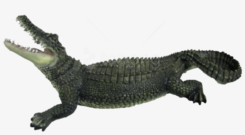 Free Png Download Crocodile Png Images Background Png - Crocodile Png, transparent png download