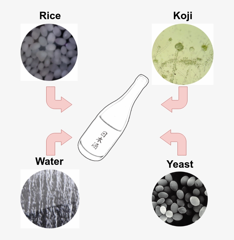 So Rice, Water, Koji And Special Sake Yeast Are Fab - Grape, transparent png download