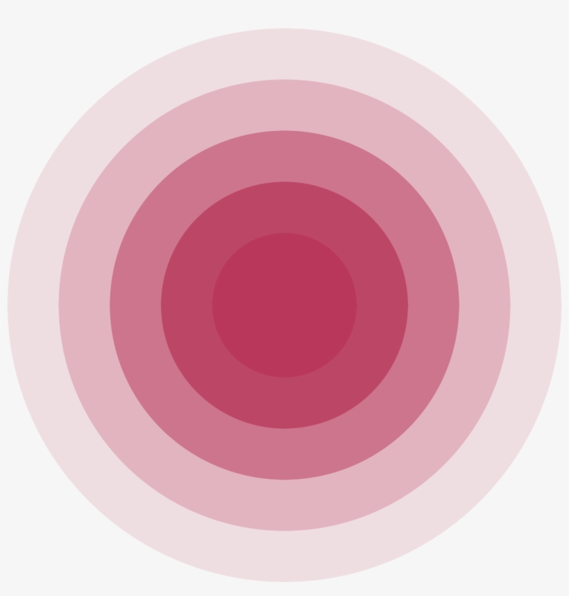 Colorful Circle - - Tmf, transparent png download