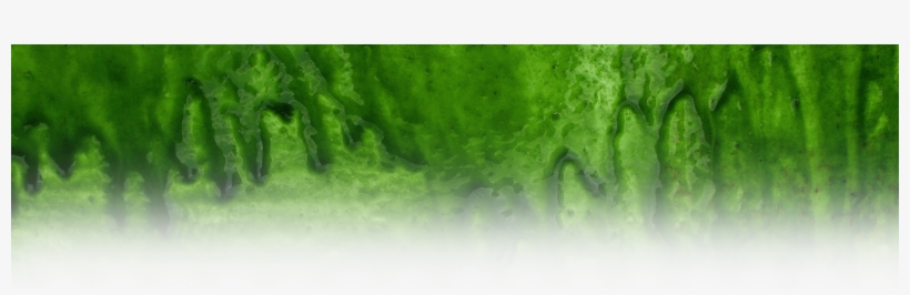 Goosebumps - Chlorophyta, transparent png download