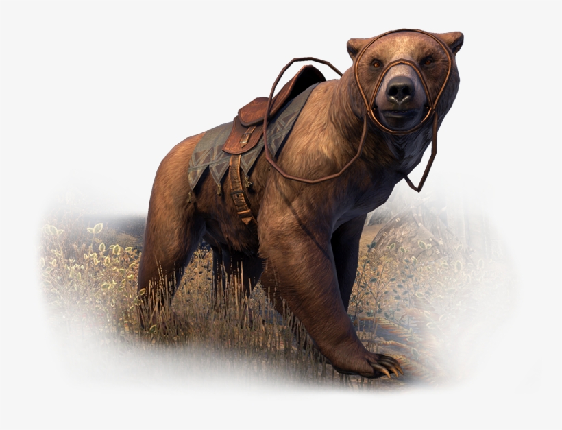 The Elder Scrolls Online - Elder Scrolls Online Bear, transparent png download