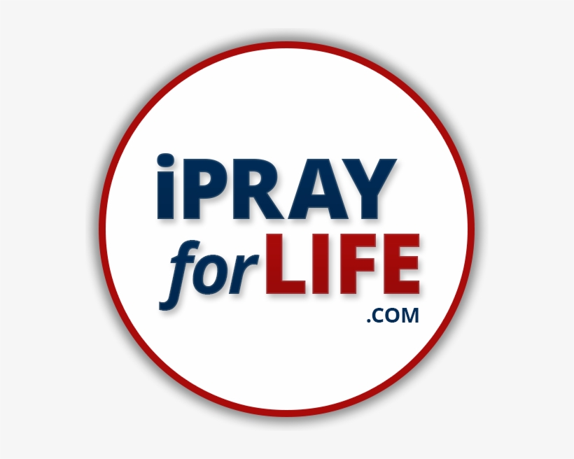 Circle, transparent png download