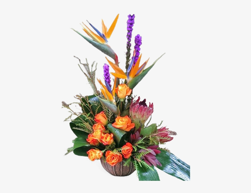 Tropical Garden - Bird Of Paradise, transparent png download