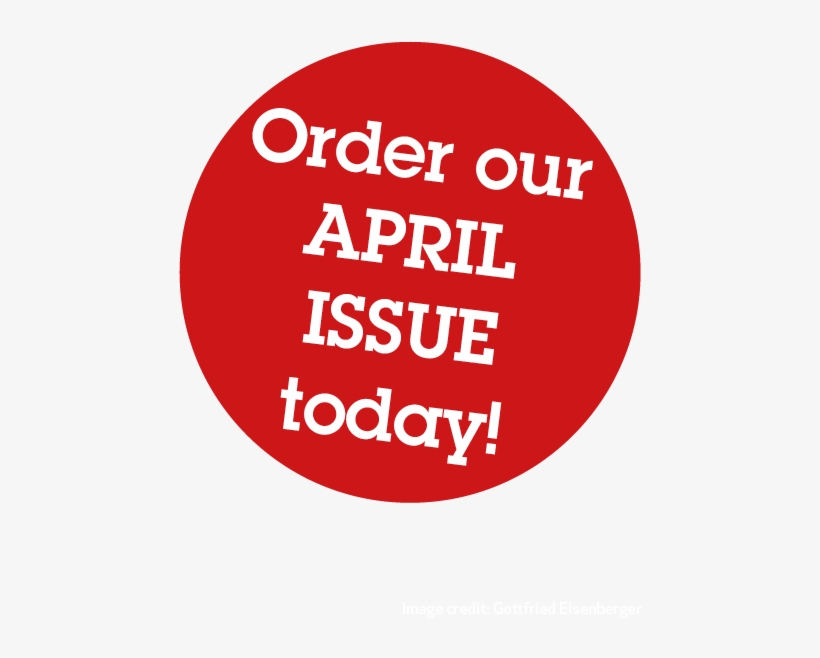 Youtoo America, transparent png download