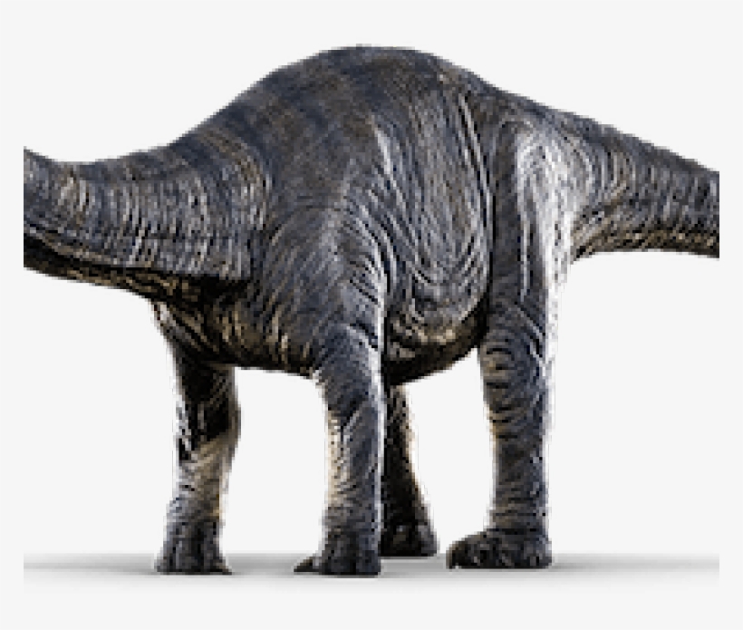 Age No Handicap - Jurassic World Evolution Png, transparent png download