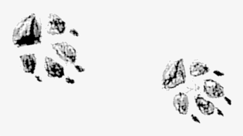 Two - Illustration, transparent png download