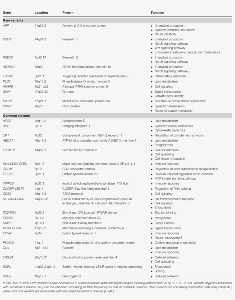 Ad-associated Genes - - Document, transparent png download