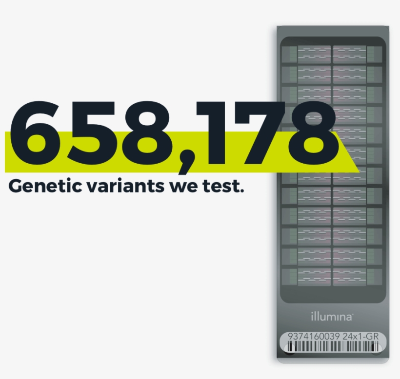 Dna Analysis - Multimedia Software, transparent png download