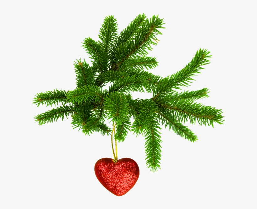 Adornos De Corazon Para Navidad - Christmas Tree Leaves Png, transparent png download