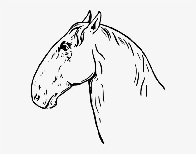 Download - Horse Headed, transparent png download