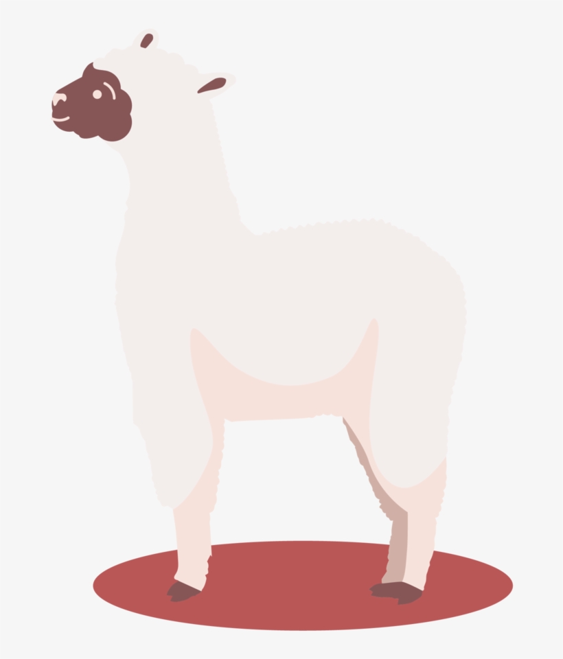 Lamas8-18 - Sheep, transparent png download