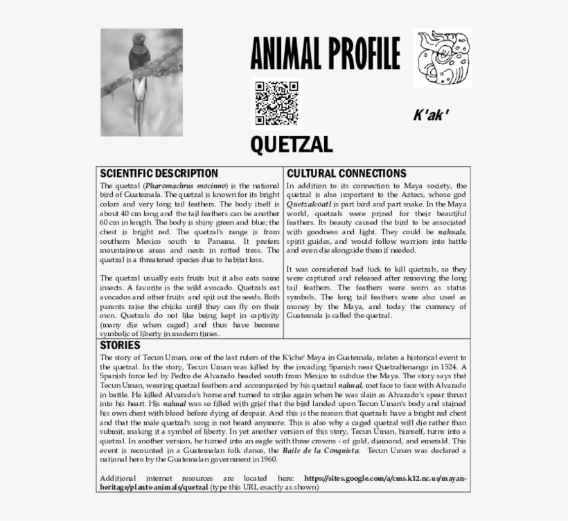 Pdf - Document, transparent png download