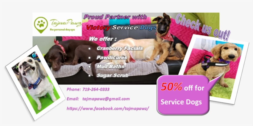 Our 2019 Sponsors - German Shepherd Dog, transparent png download