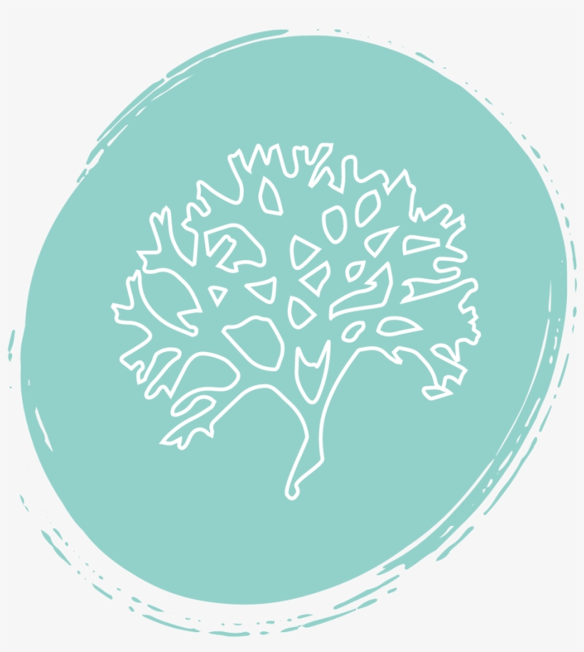 Carrageenan Gum - Circle, transparent png download